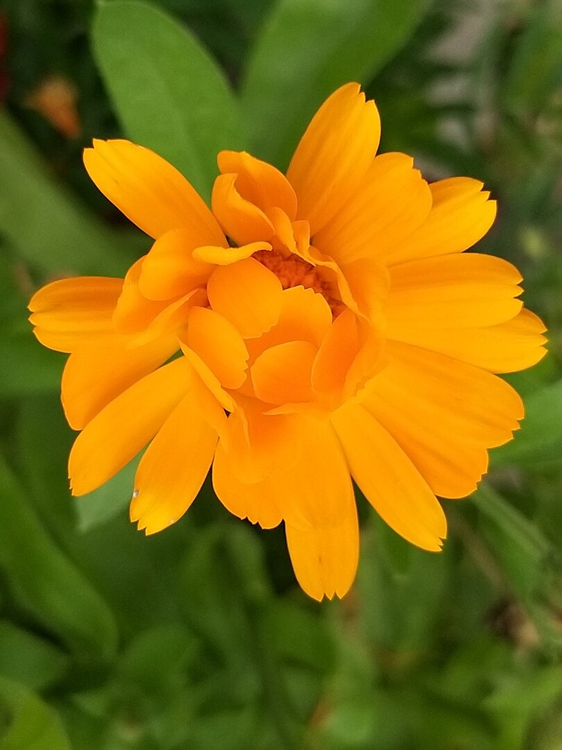  *                                                                                             Фото автора статьи