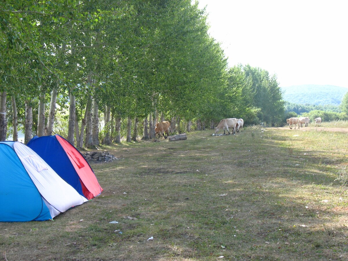 берег озера Нугуш. Фото из личного архива.