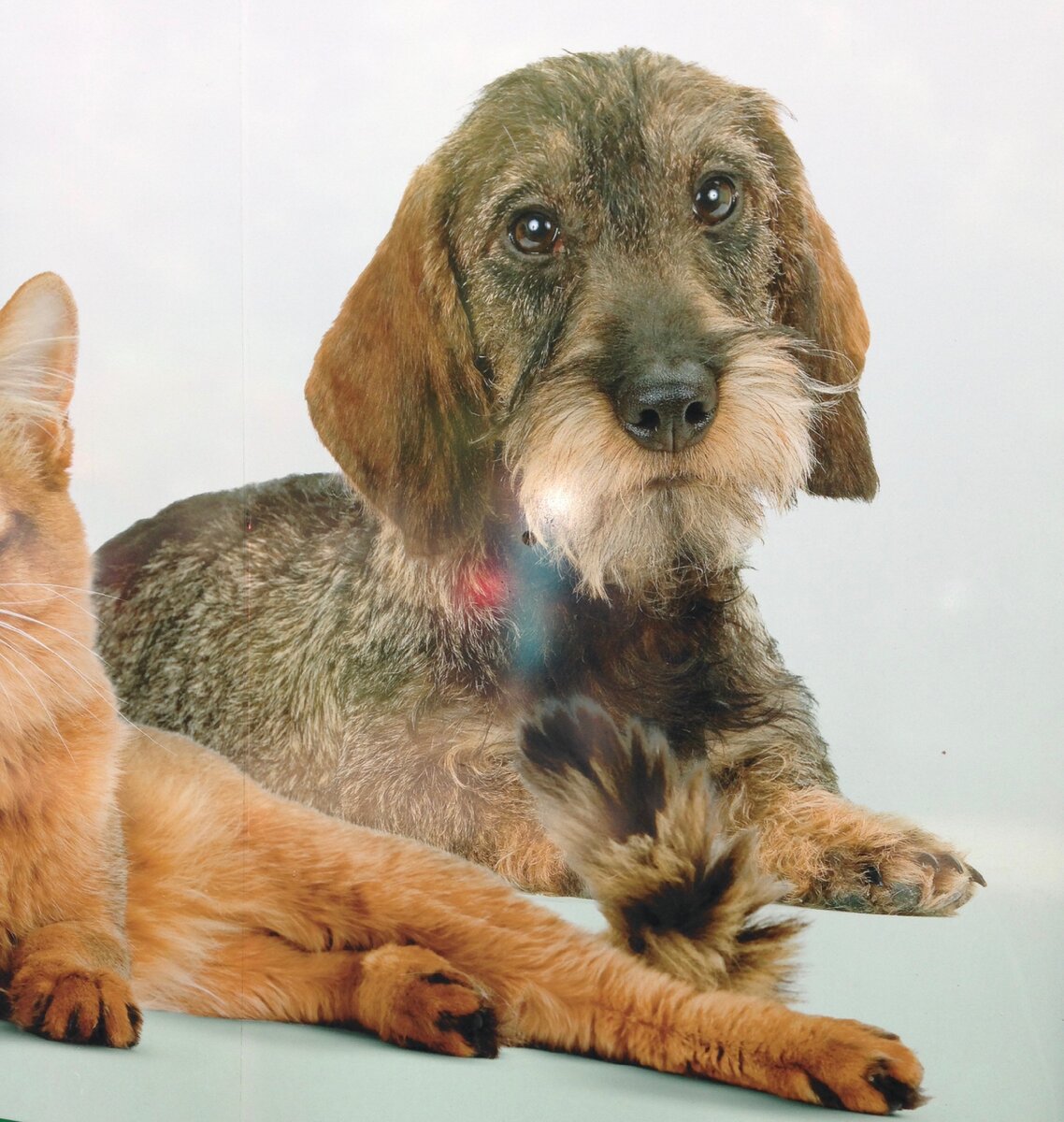 Та самая витрина, фото до сих пор хранится в моем телефоне...