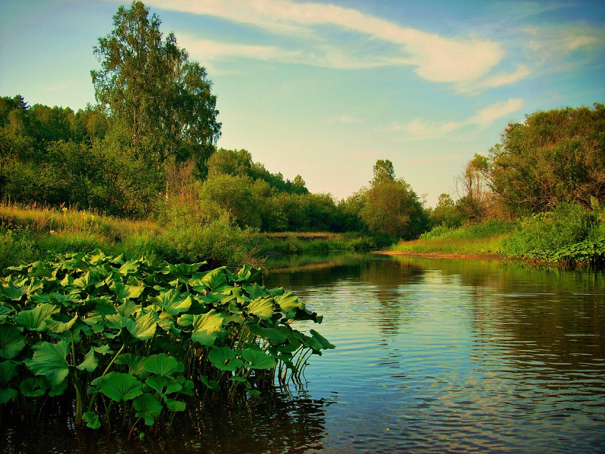 Фото Олега Лабастова.