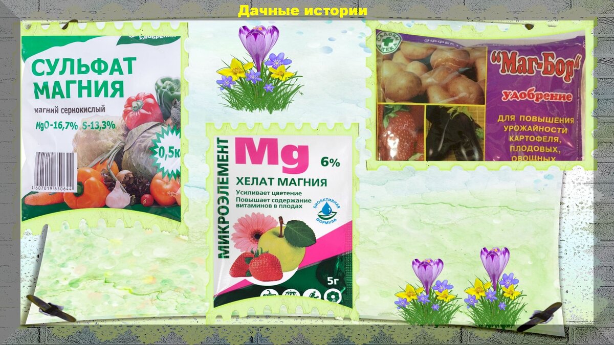https://vk.com/photo-159774511_457243702