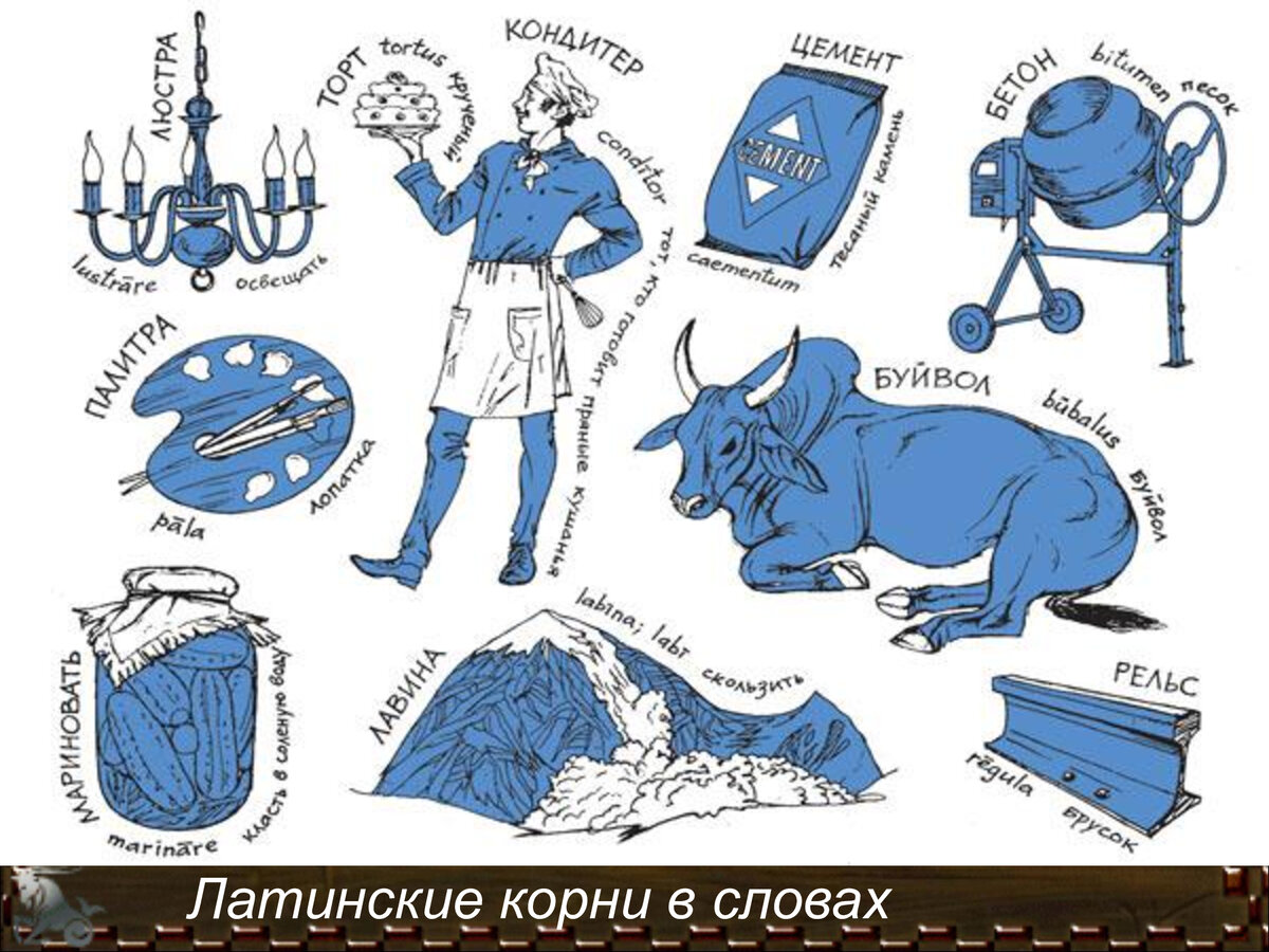 А вы знаете, откуда произошло слово «суп» и еще пара десятков таких  привычных нам слов? | Нескучные истории Людмилы Грицай | Дзен