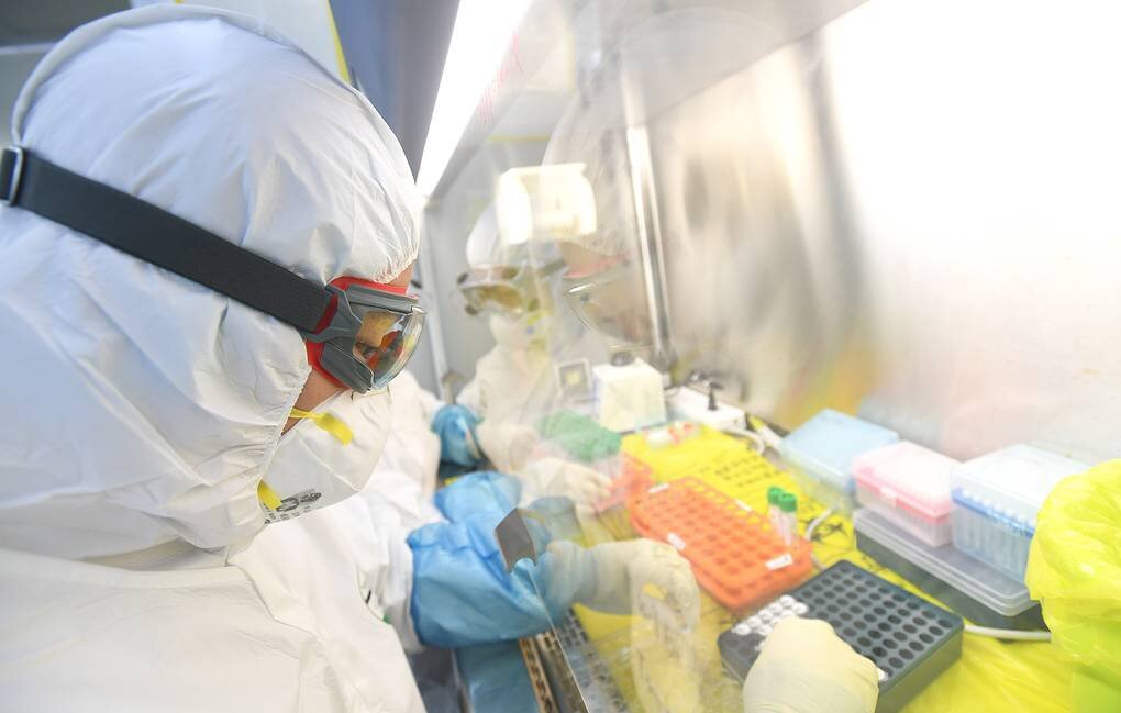 По данным телеканала, вирус передался одному из сотрудников лаборатории от летучей мыши© EPA-EFE/SHEPHERD ZHOU