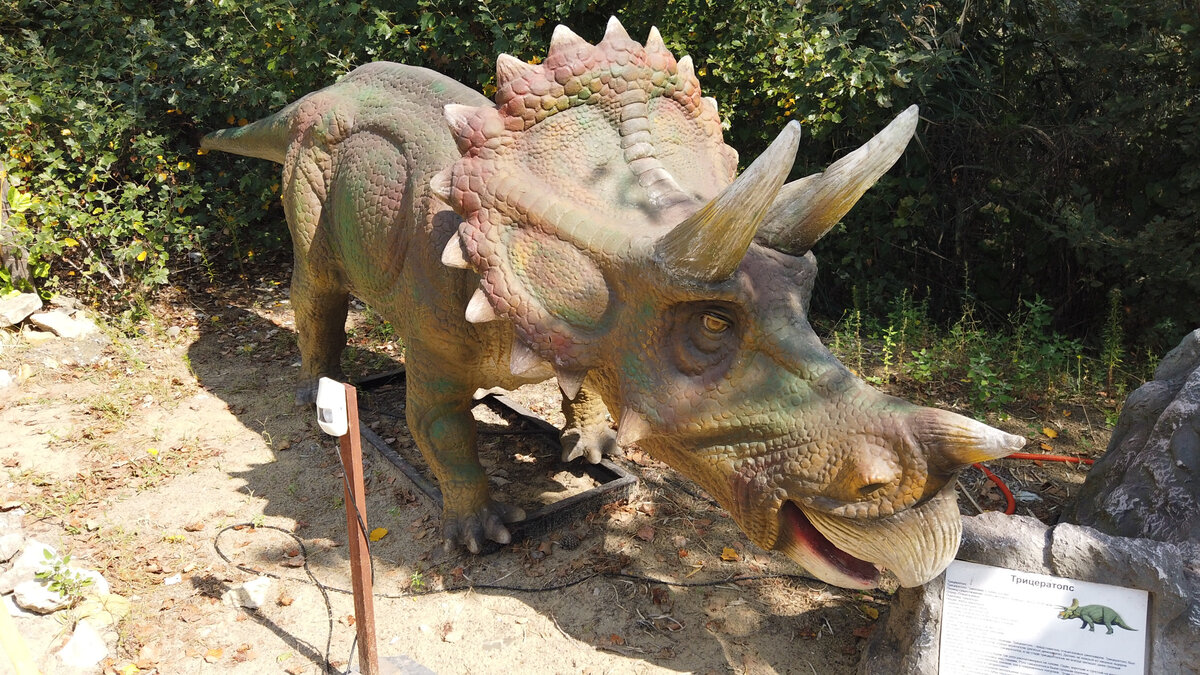 Трицератопс