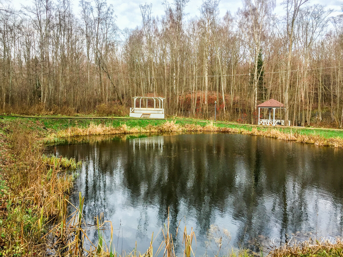 музей серова в домотканово