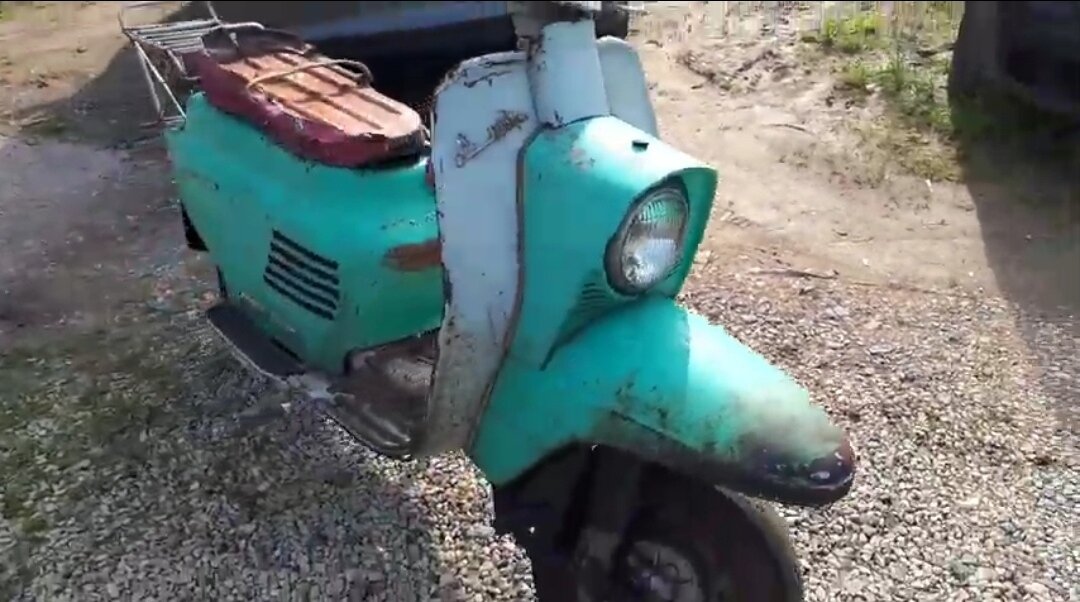 Фото в первый день "покупки"