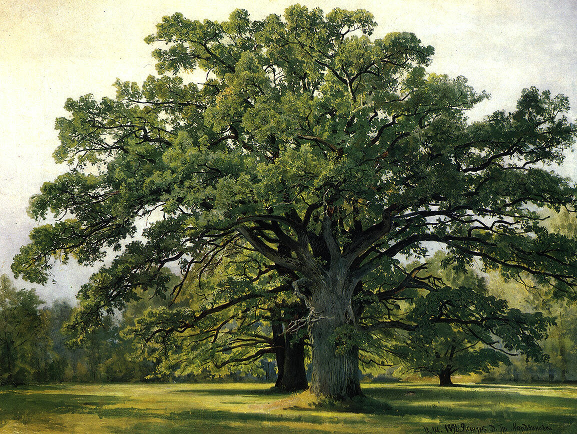 Из открытых источников