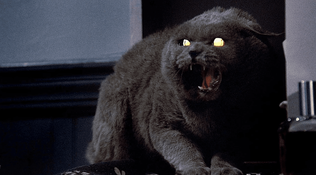 Воскресший кот Чёрч в фильме 1989 года.