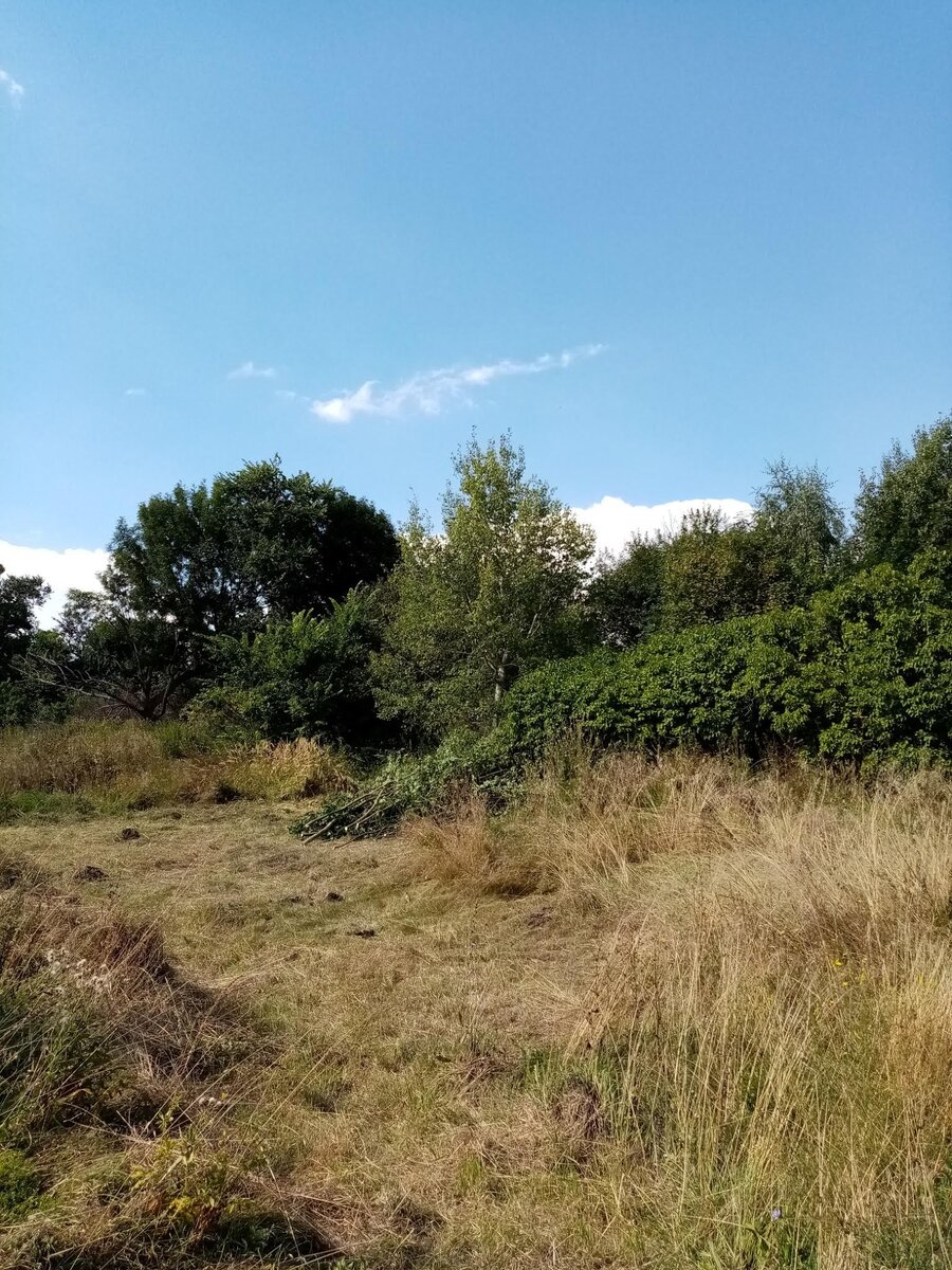 Улица деревни, которой нет