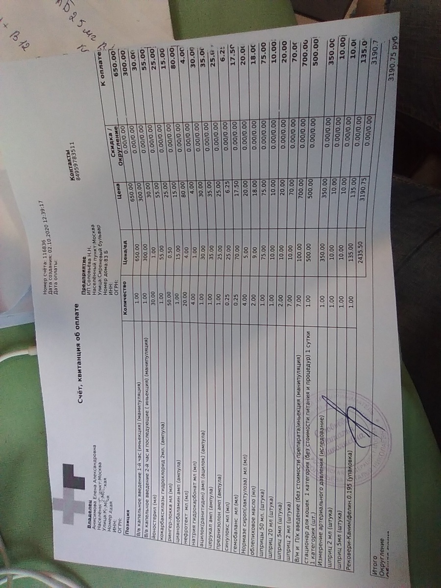 Котику нужна помощь 🙏