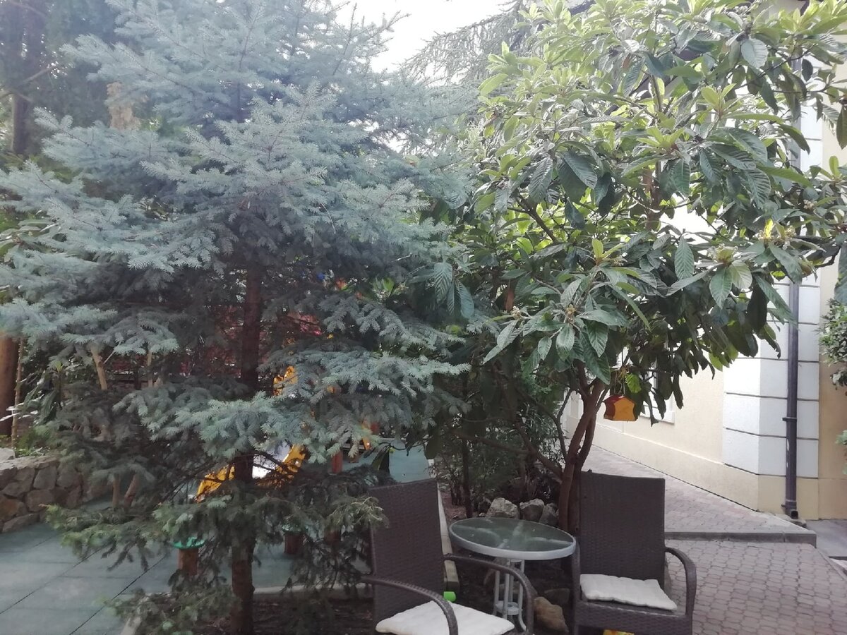 Это дворик недалеко от детской площадки на моей новой работе.