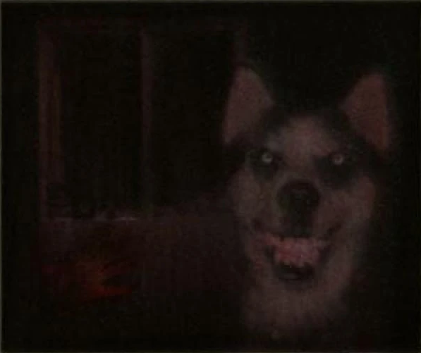 Smile.dog 1992 - Загадочные интернет-файлы