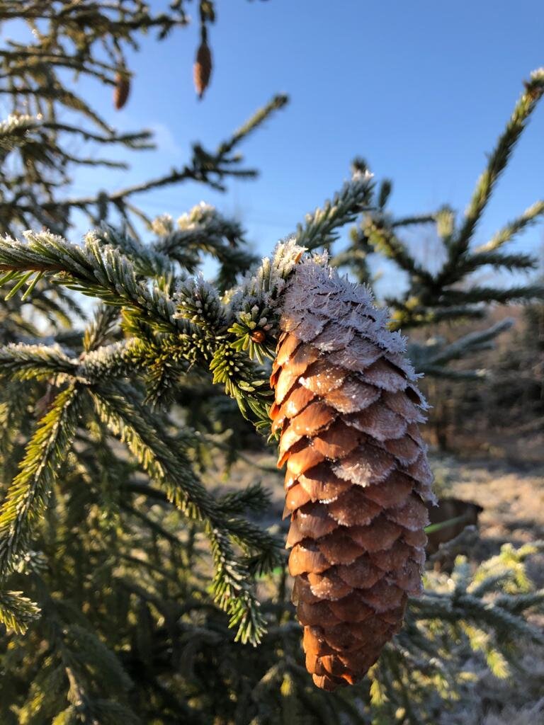 Все фото прислала моя близкая подруга с подписью "Зима рванула прямо с первого декабря". 