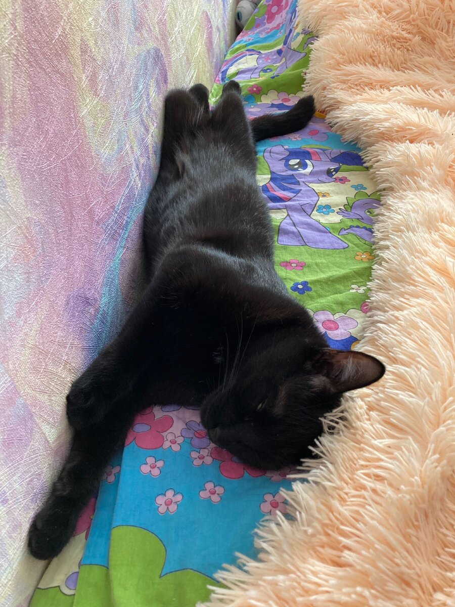 Дневной сон