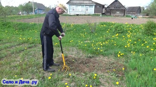 Фото голые жены на даче