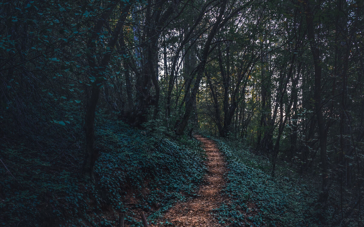Яндекс.Картинки