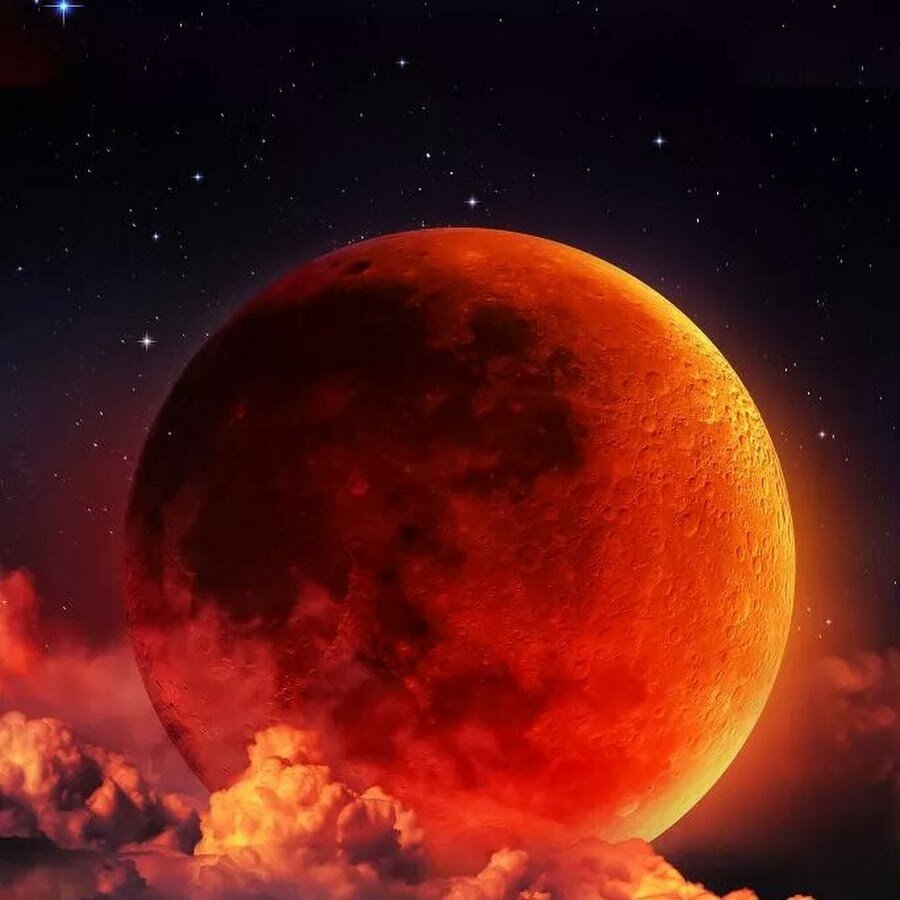 Источник изображения: Яндекс. Картинки