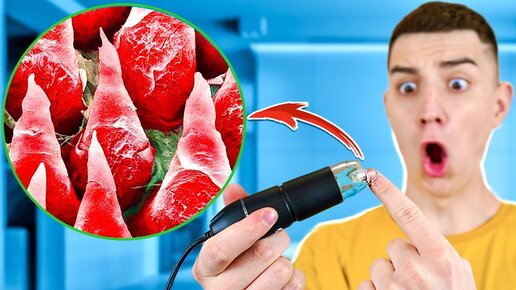 ГЛЕНТ СМОТРЮ НА ВСЁ ПОД МИКРОСКОПОМ ЧЕЛЛЕНДЖ! Реакция на Глента - YouTube