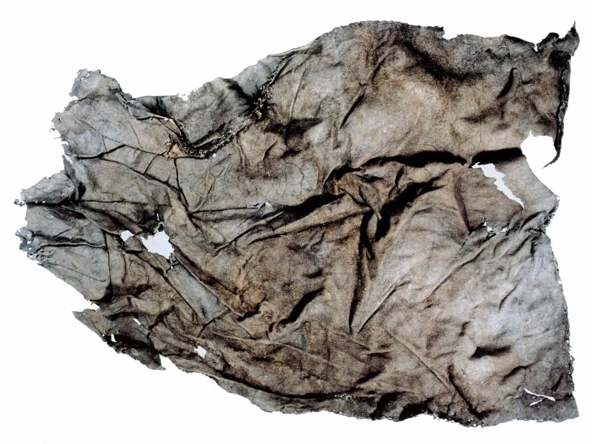 Подштанники возрастом 5.000 лет.