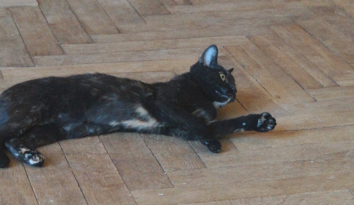 Её зовут Ушака. Ей чуть больше года