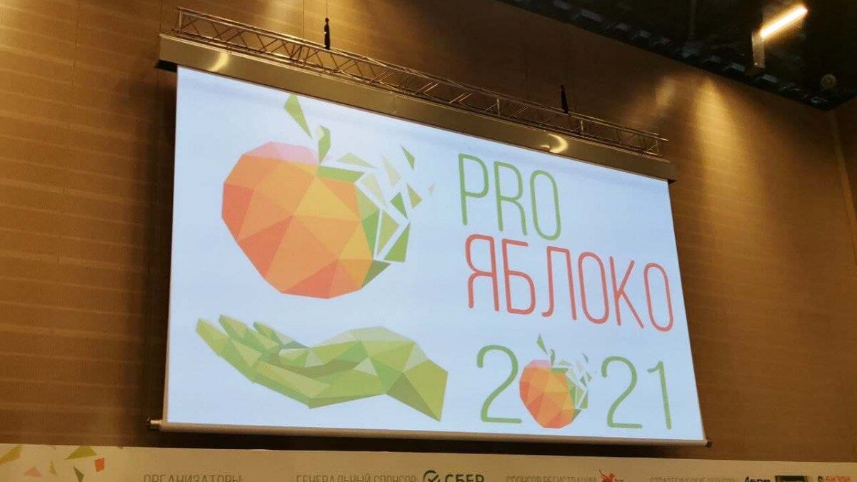 Трансляция apple 2024. Pro яблоко 2024.