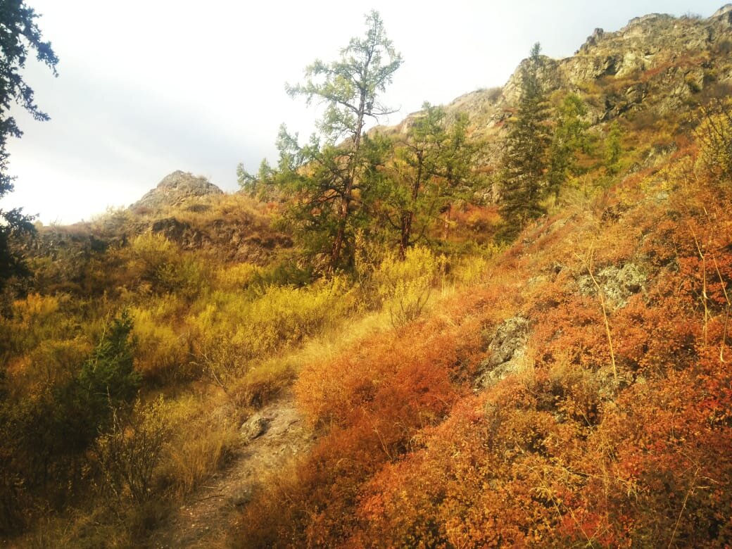 Фото Ларисы П. Осень 2021