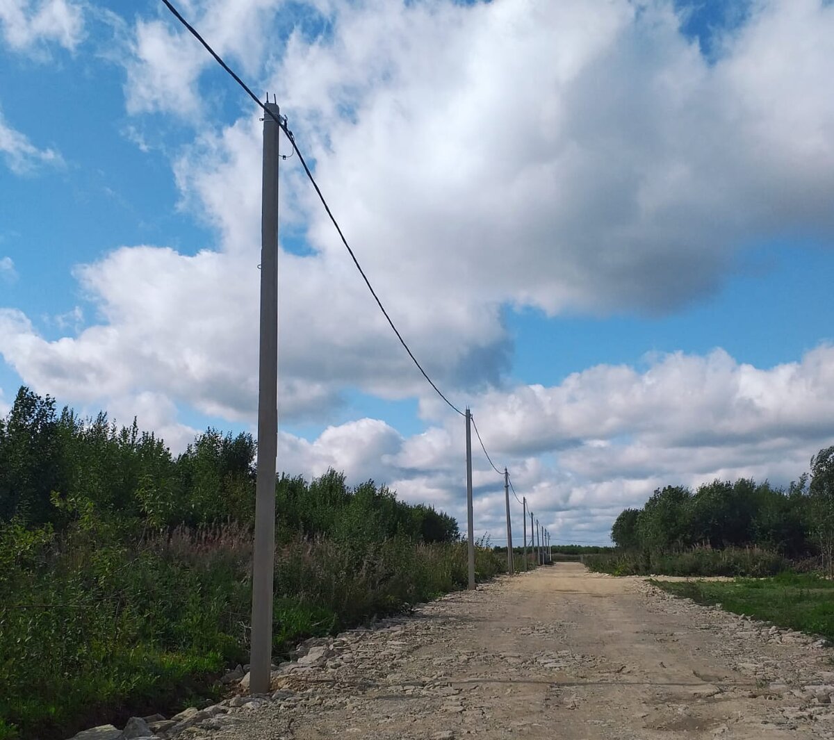 наш участок слева - да-да, именно в этих зарослях)