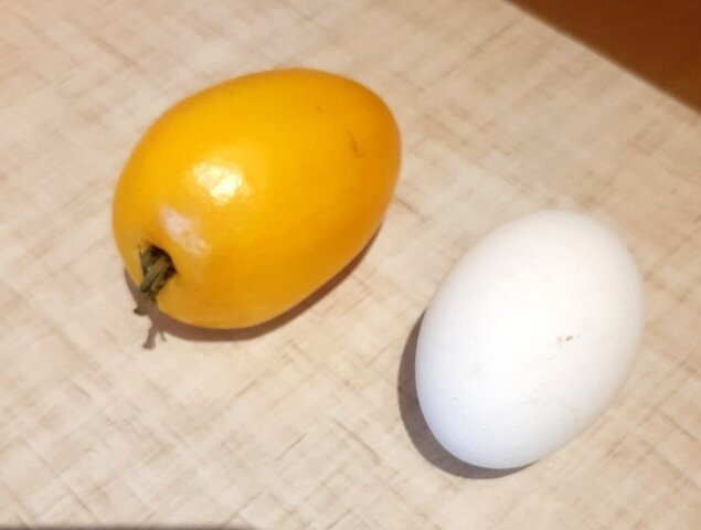 "снесла курочка яичко, не простое, а золотое"