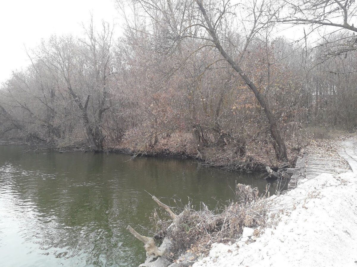 Наша речушка Козинка и мостик - очень любо мне это место. Вода сейчас там ледяная - проверено