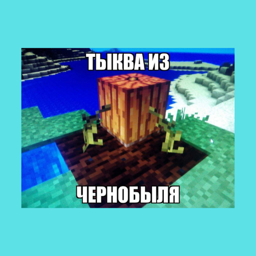 типичная тыква