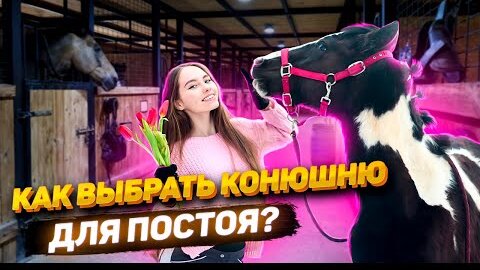 Как Выбрать КОНЮШНЮ для ПОСТОЯ? / Содержание Лошади / VLOG