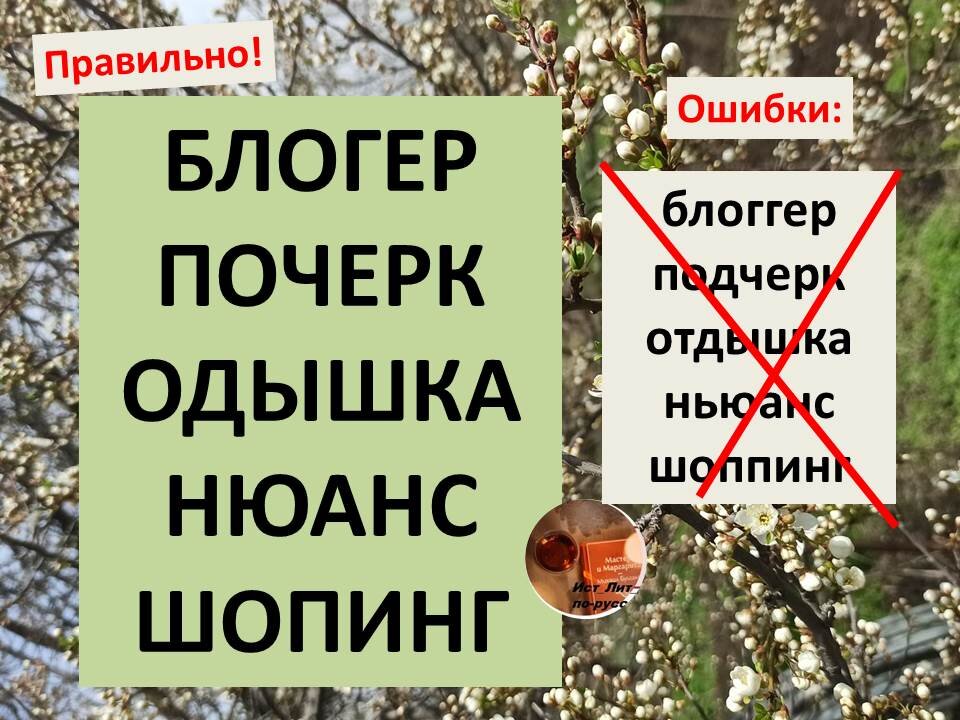 Ньюансов или нюансов как правильно пишется. Ньюансов или нюансов как правильно пишется