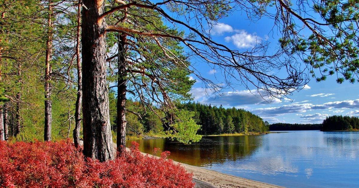 Карелия фото природы летом