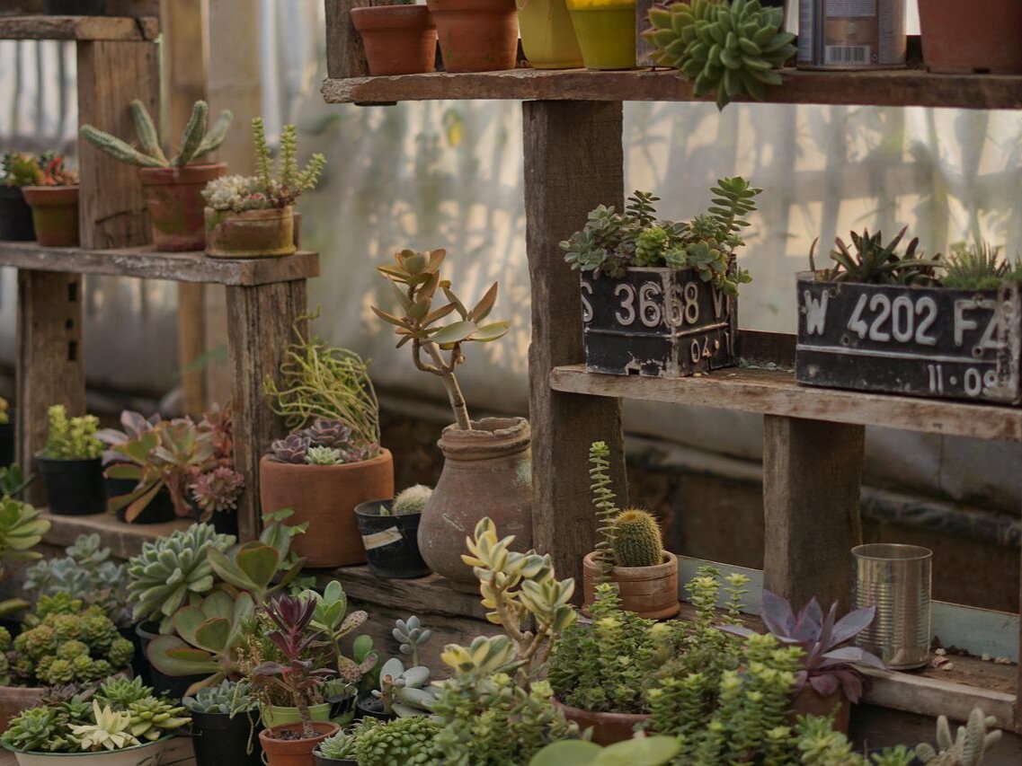 Фото: pixabay.com