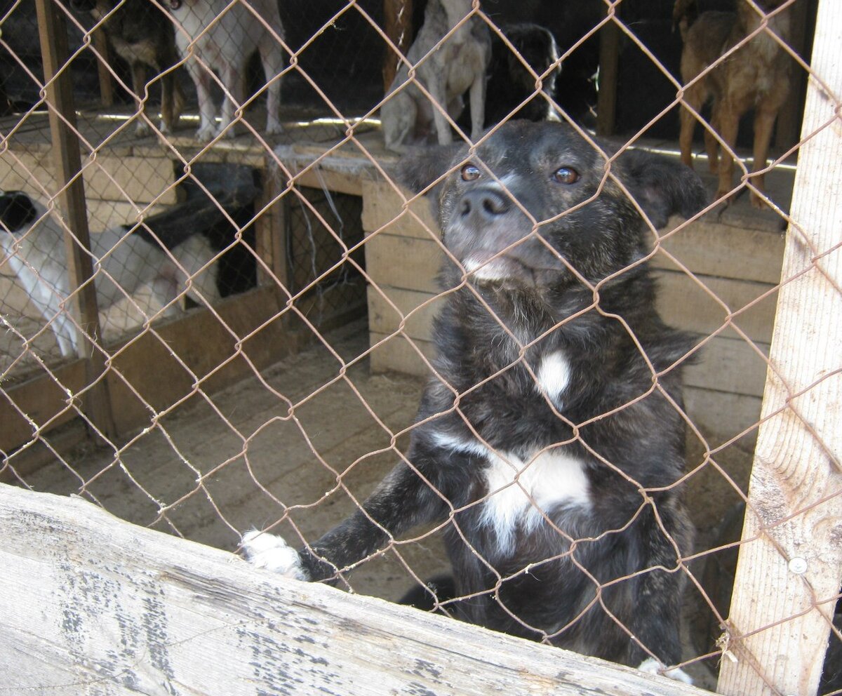 СпецАвтоХозяйство