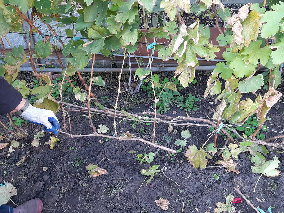 Вот, такую "гребёнку" мы удаляем