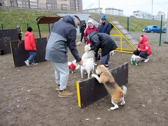     ФОТО ПРЕСС-СЛУЖБЫ АДМИНИСТРАЦИИ КРАСНОЯРСКА