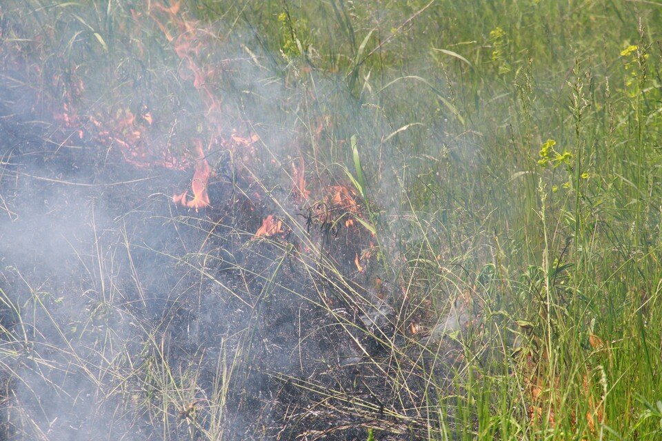     В регионе с 15 по 17 октября сохранится высокая, а местами чрезвычайная пожароопасность Олег УКЛАДОВ
