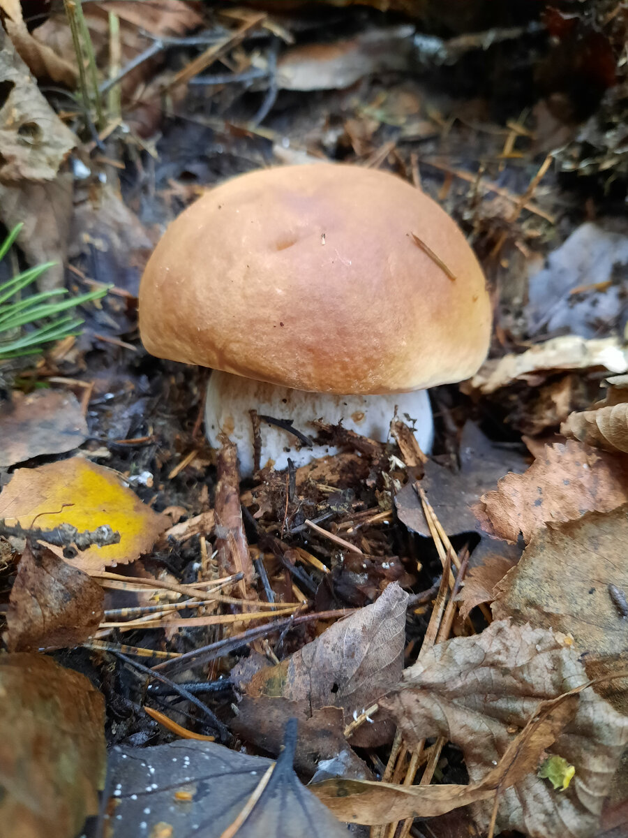 Словно с открытки!
Фото автора