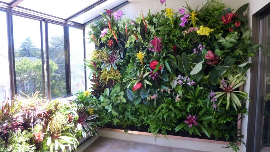 Phytodesign зимний сад
