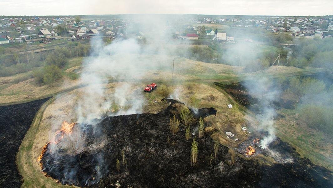 Машина пожарной охраны тушит полевой пожар вблизи дачного общества в Алтайском крае. Фото: РИА Новости/Александр Кряжев