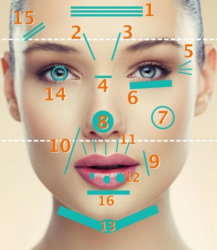 Линии и знаки на лице: учимся читать их по аюрведе | Beauty-consult | Дзен