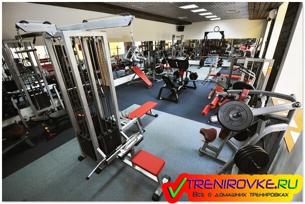 Фитнес клуб Спарта
