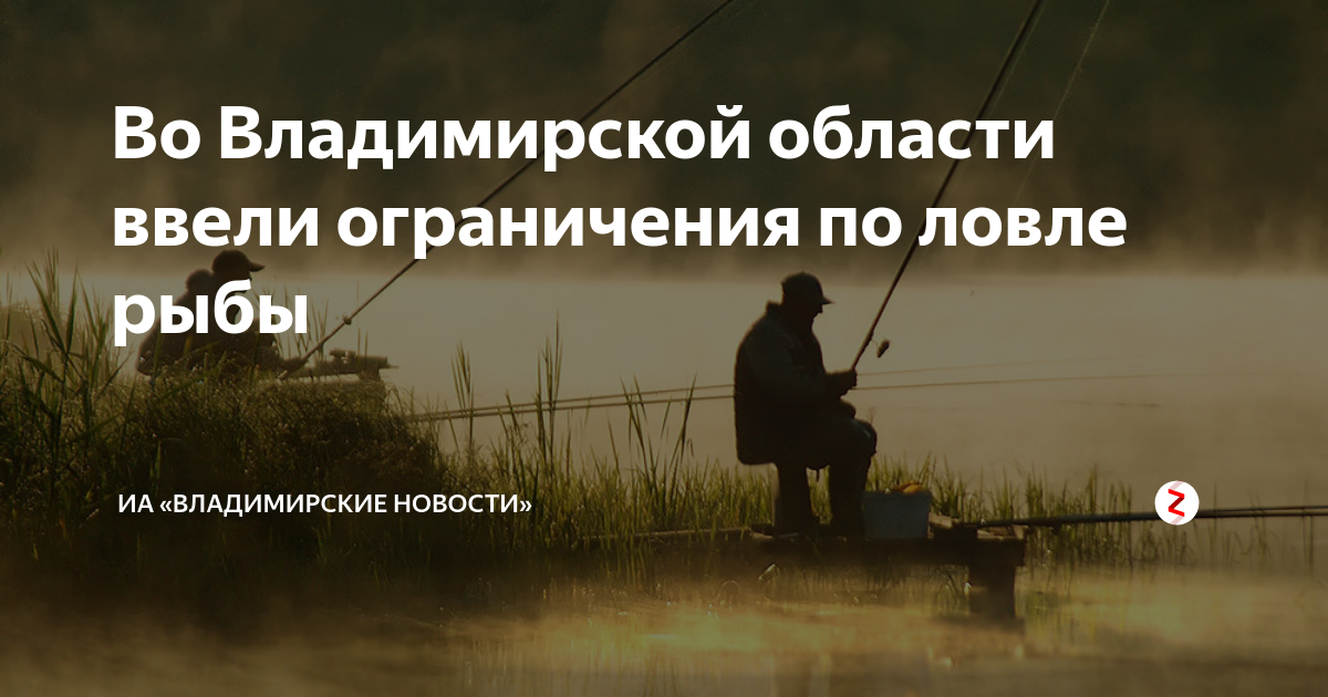 Золотая рыбка владимирская область собинка фото