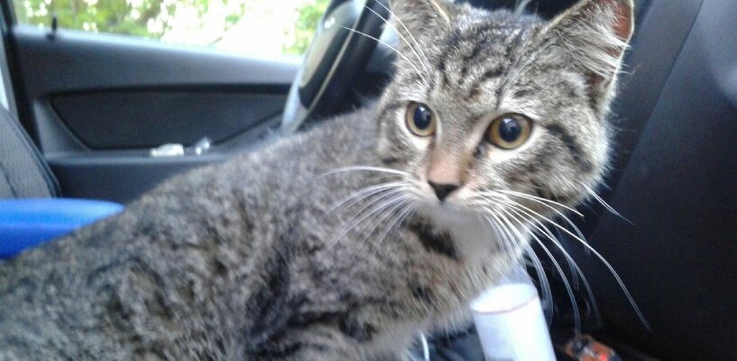 Фото: Татьяна Шильниковская