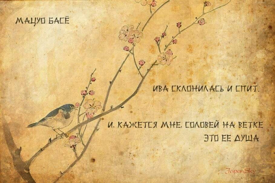 Рисунок хокку басе