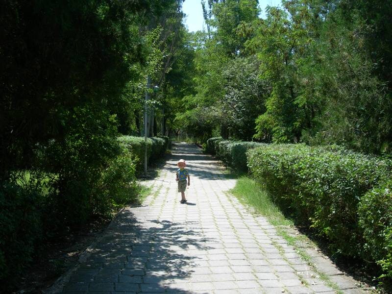 Те самые аллеи.