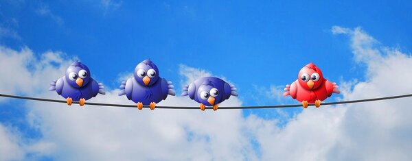 Изображение с сайта https://pixabay.com