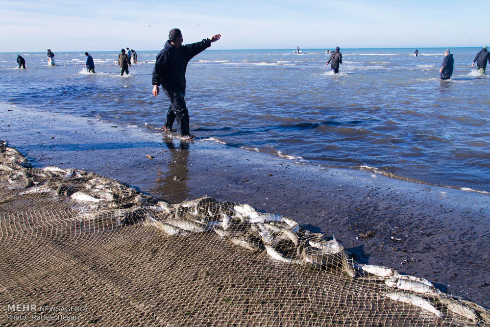 На многих берегах. Каспийское море рыбаки. Зимняя рыбалка на Каспии. Рыбалка в Каспийске.