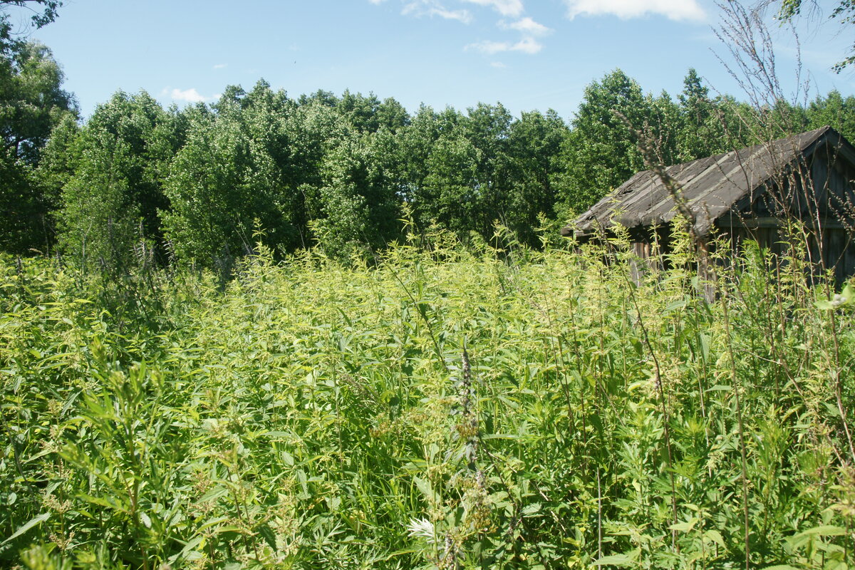 Фото собственное